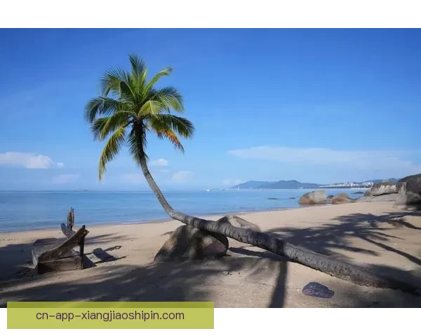 拥抱碧海蓝天，开启人生新篇章——三亚天涯海角招聘网，您理想职业的起点